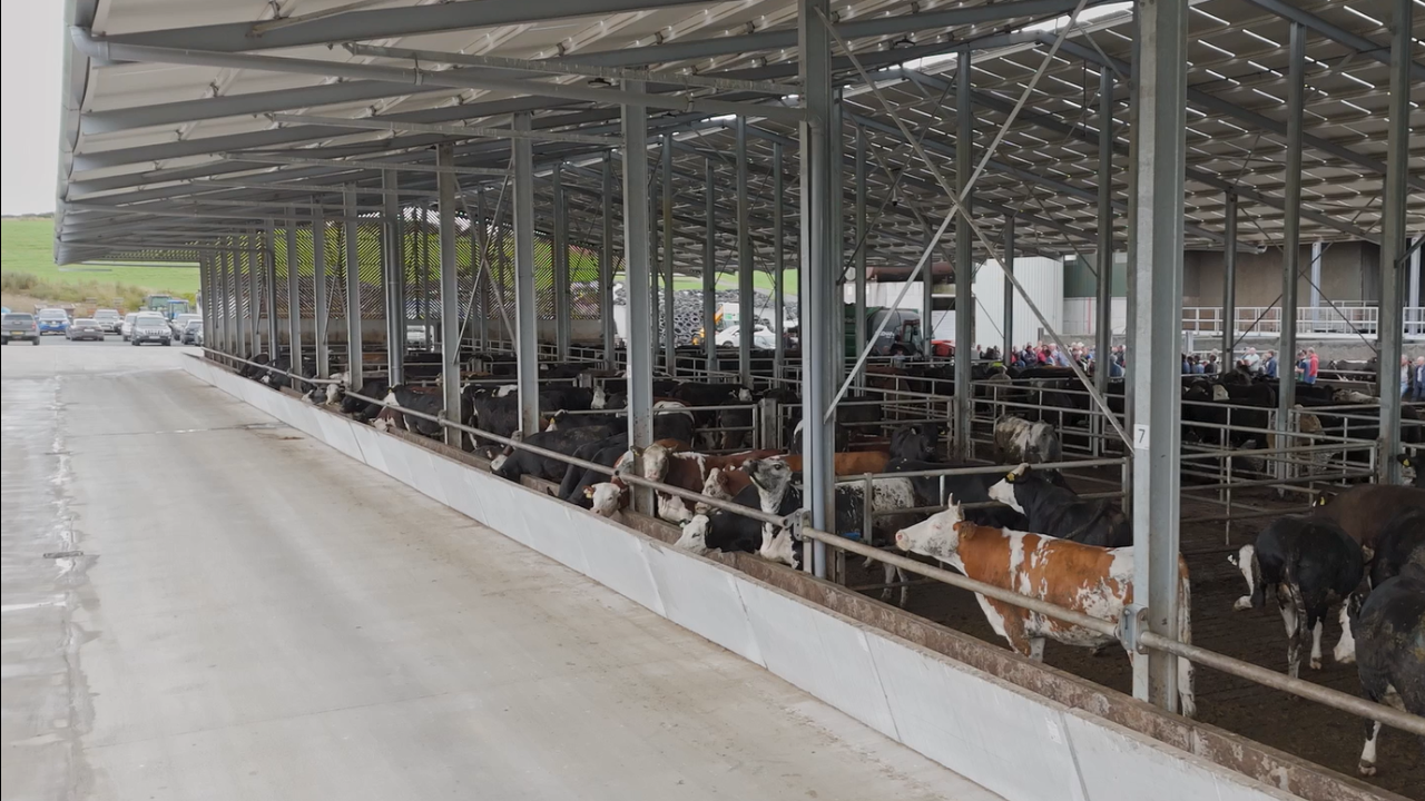 Rural focus revisit: 'State-of-the-art' beef farm in Cavan