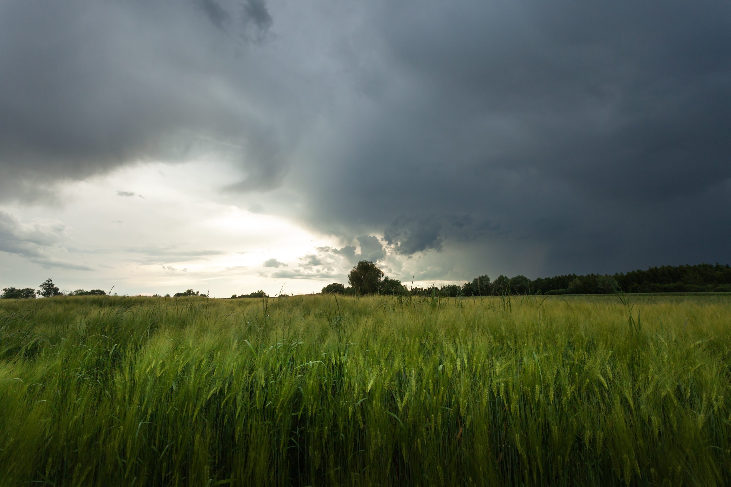 Farmers advised that rainfall will be 'above average' in coming days - Met Éireann