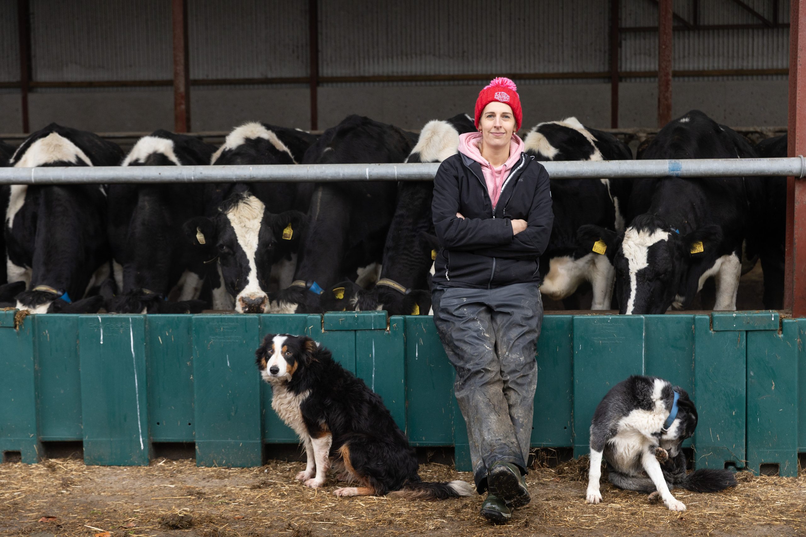 Life with SenseHub Series: Collars a 'gamechanger' for Carlow dairy farmer