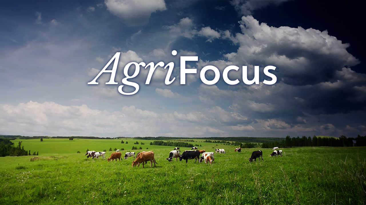 AgriFocus - What’s happening with land sales, prices and ageing farmers?