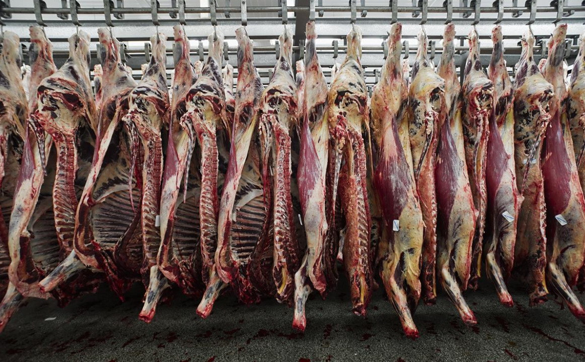 Farmer beef price down 10% as factory beef sale price sees smaller drop