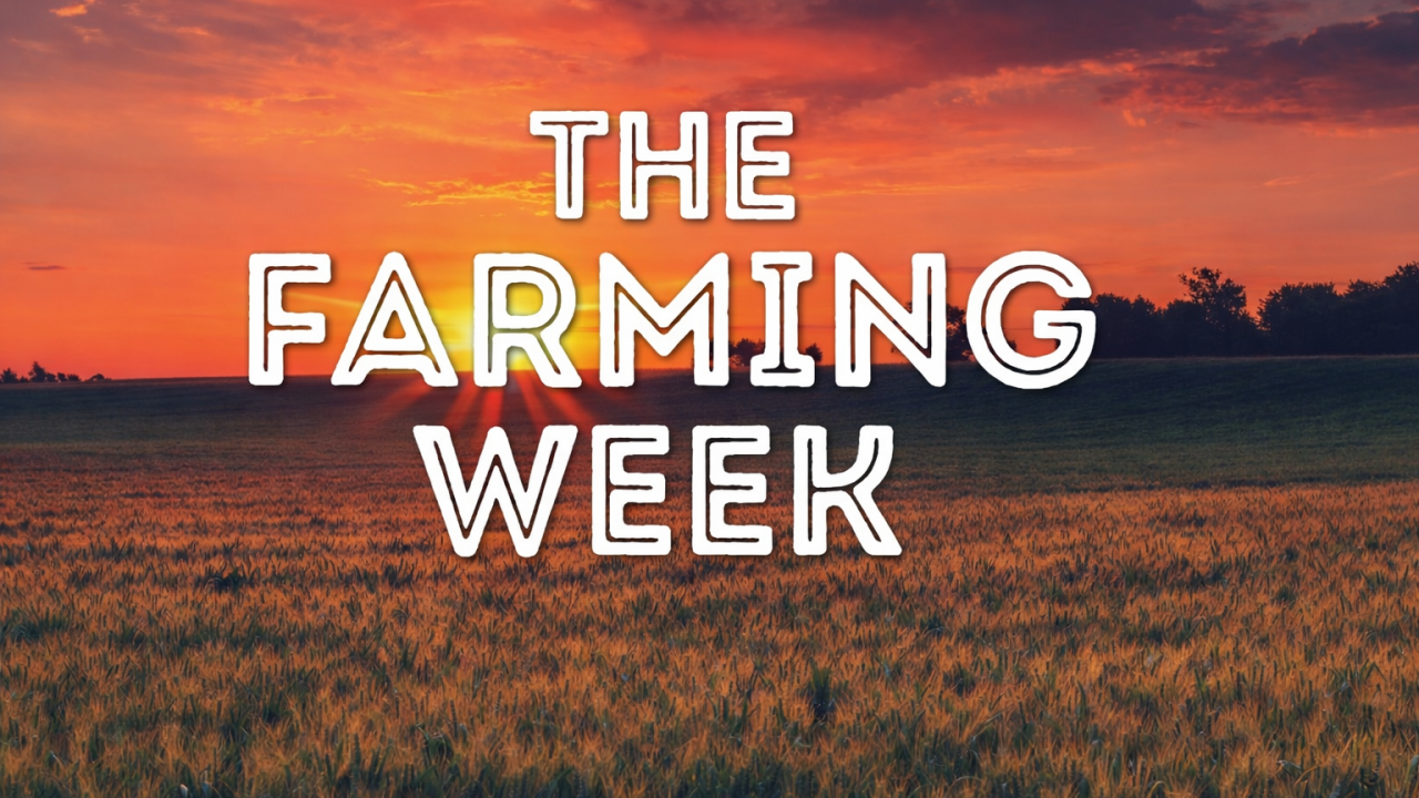The Farming Week: Fertiliser plan, Kerry Dairy Ireland rebrand and derogation applications fall