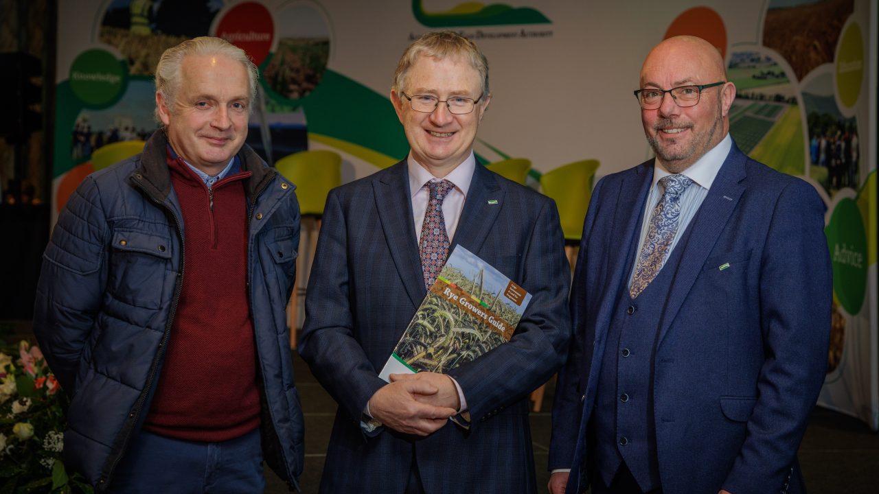 New guide for rye growing launched for tillage farmers - Agriland.ie