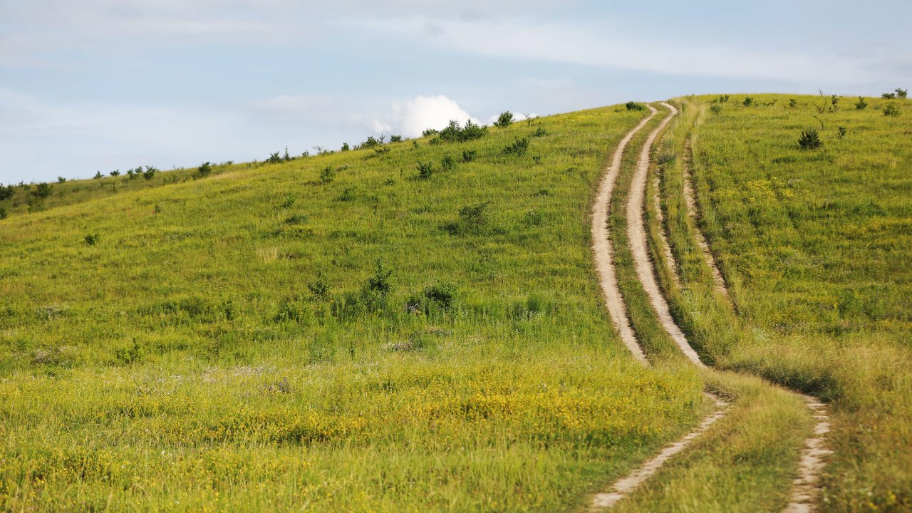 Govt criticised over lack of rural public transport links