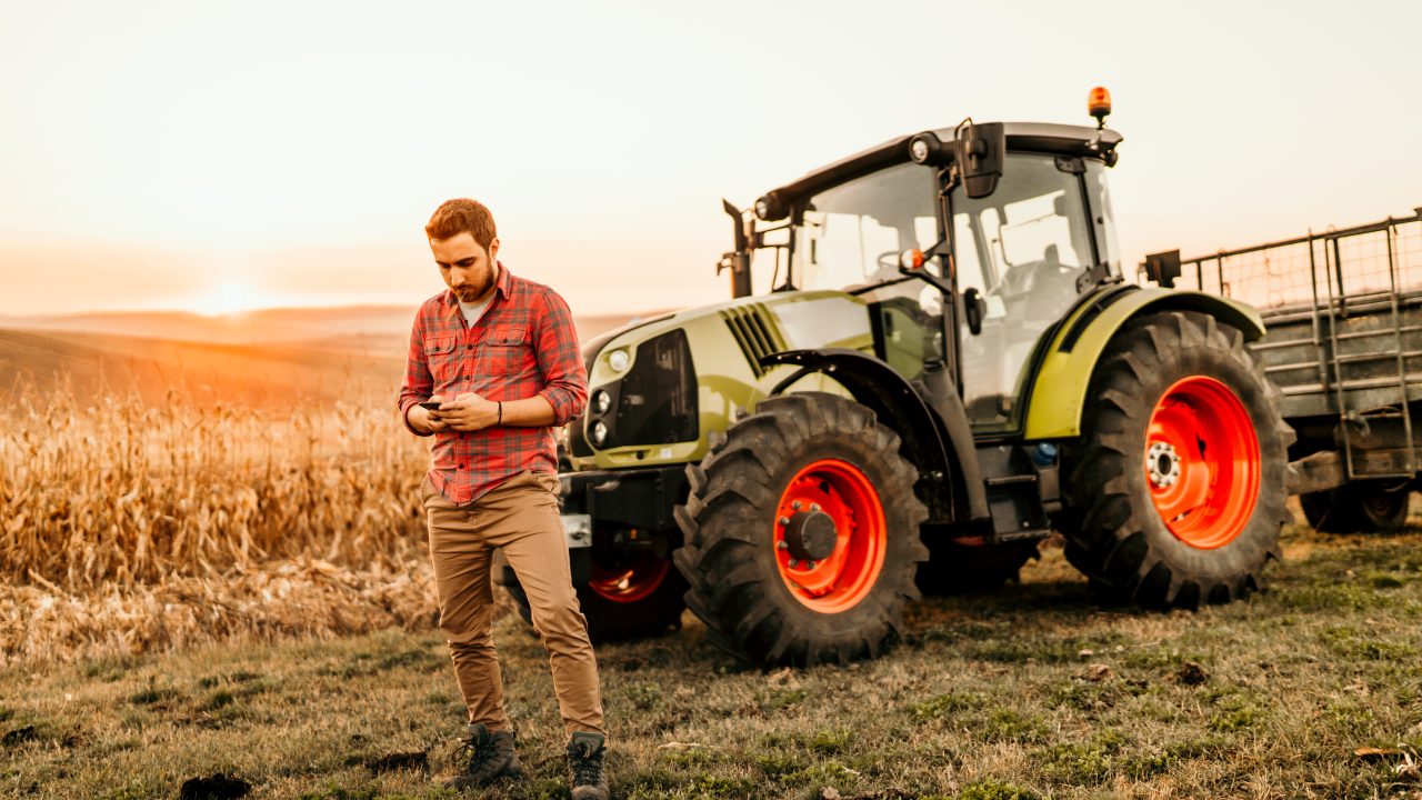 Herdsperson for large beef and tillage farm among new agri-jobs