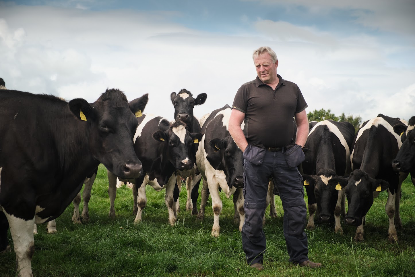 Beef farmers urged to ‘box clever’ amid factory price cuts