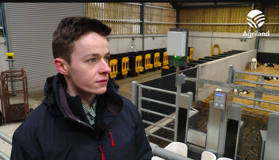 Watch: PhD student update from UCD calf research facility