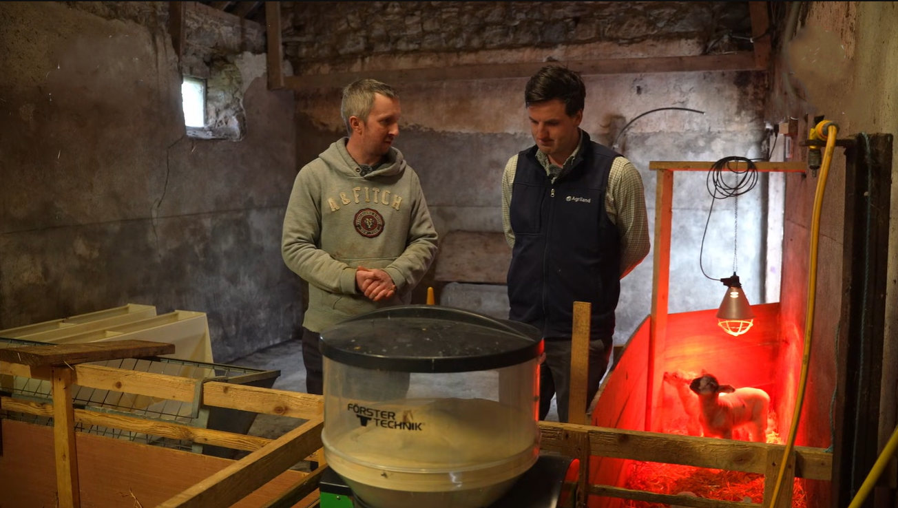 Watch: Automated pet lamb rearing system with capacity for 200 lambs