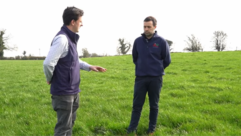 Watch: Factory boss shares insight and farmer advice on lamb trade