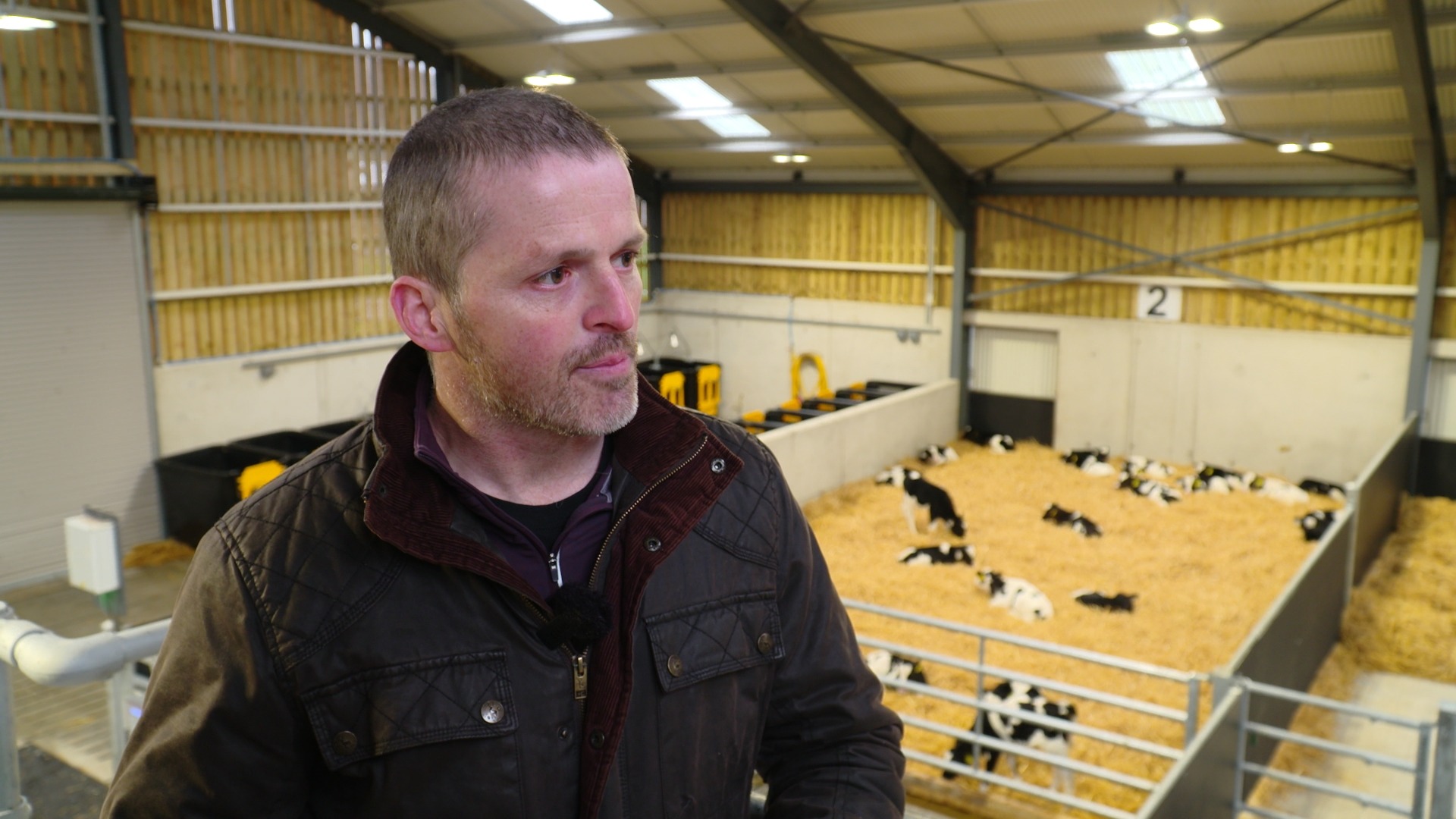 Watch: Update from UCD/ABP trial grazing dairy-beef cattle