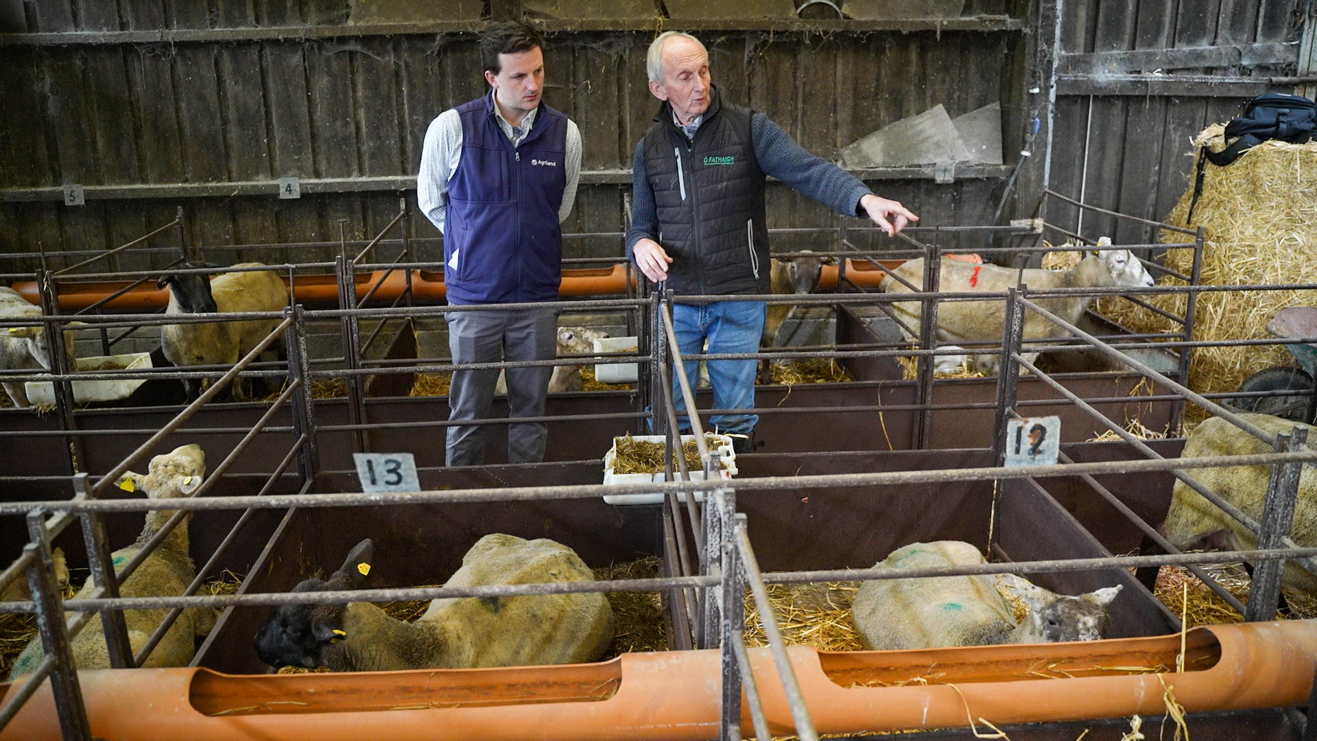 Watch: Lambing Season with ICM - inside 'smart setup' on Offaly farm