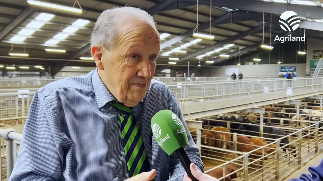 Meet the auctioneer who has been selling cattle for half a century ...