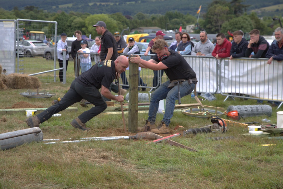 Irish stock fencing championship set for Clonmel Show