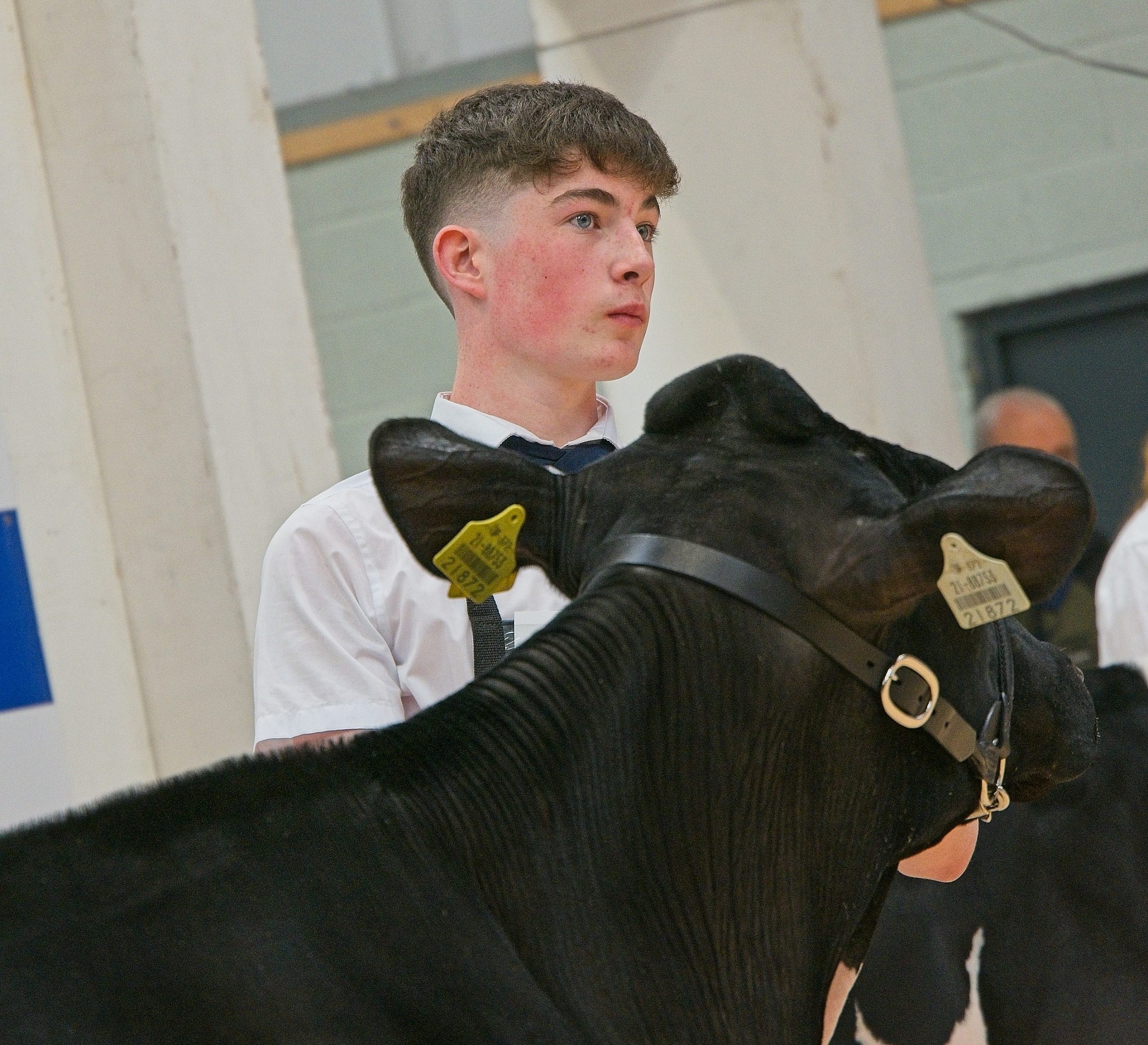 Twice the talent: Teen siblings take on Co. Cavan dairy show