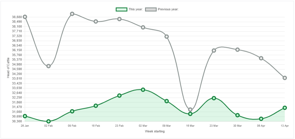 Beef kill: Irish factory cattle supply back by near 80,000 head or 14%