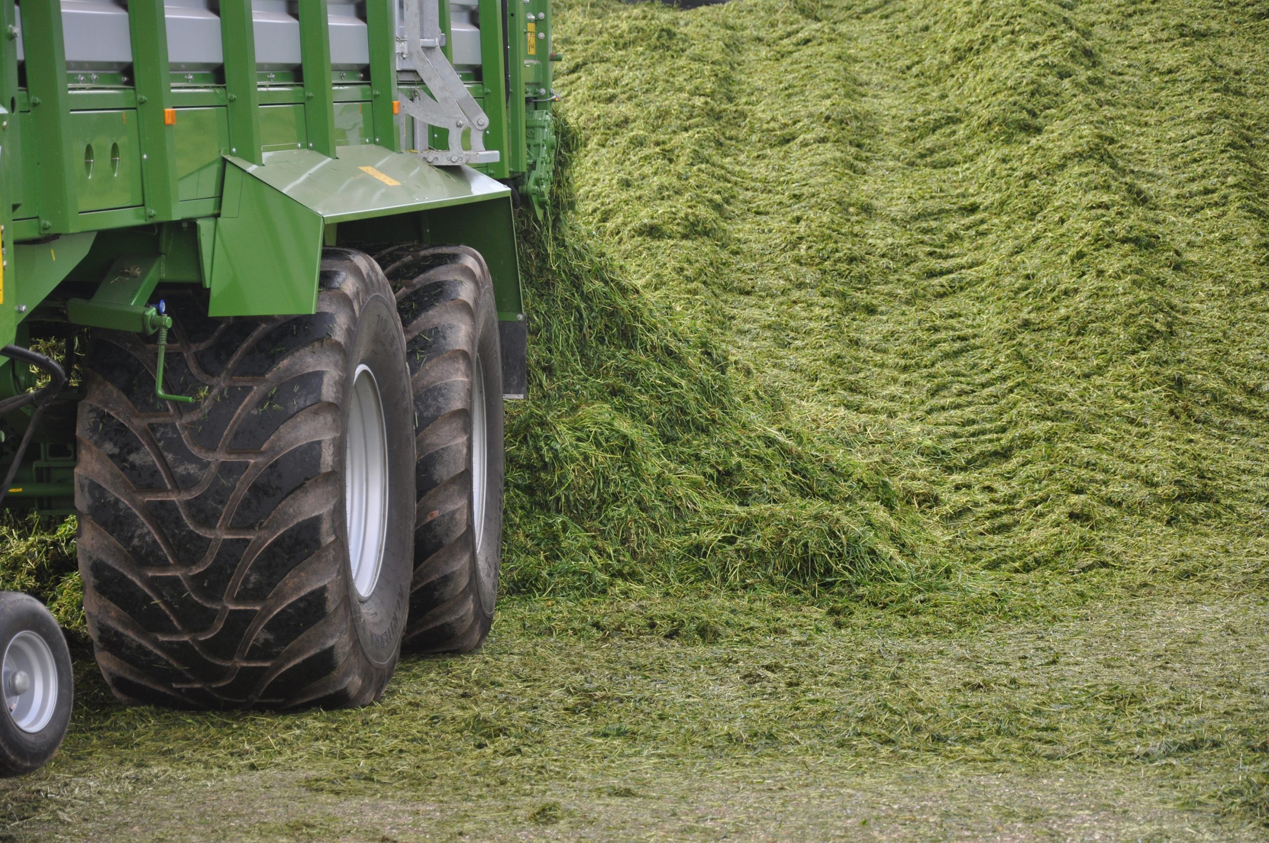 Clamping or baling silage: How will an additive help preserve grass?