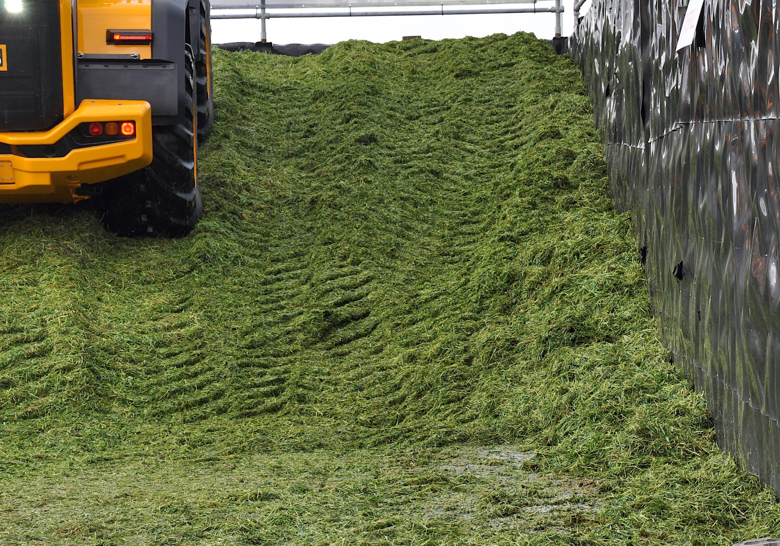 Clamping or baling silage: How will an additive help preserve grass?