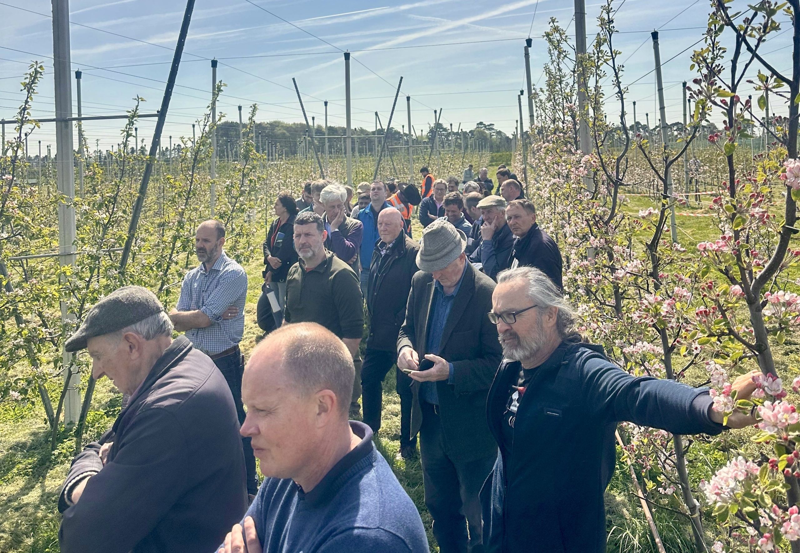 Teagasc updates growers on apple research