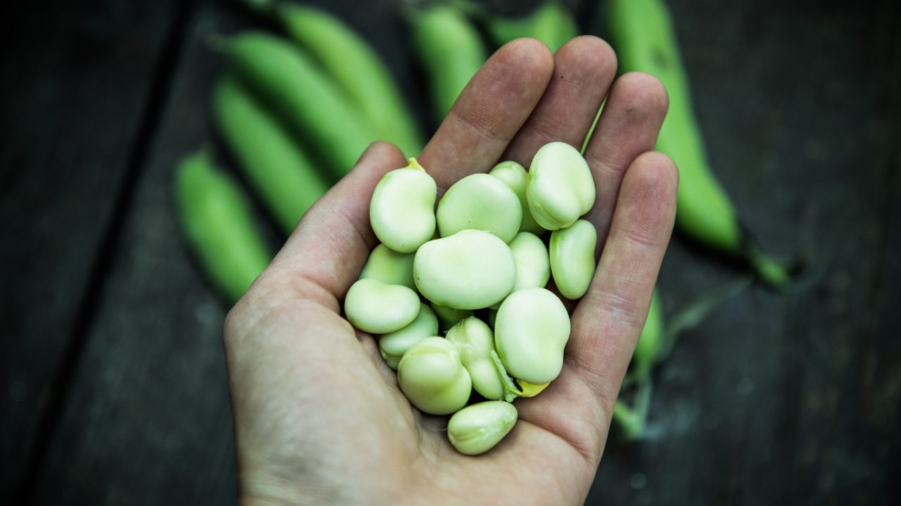 New opportunities for Ireland in plant-based ingredients