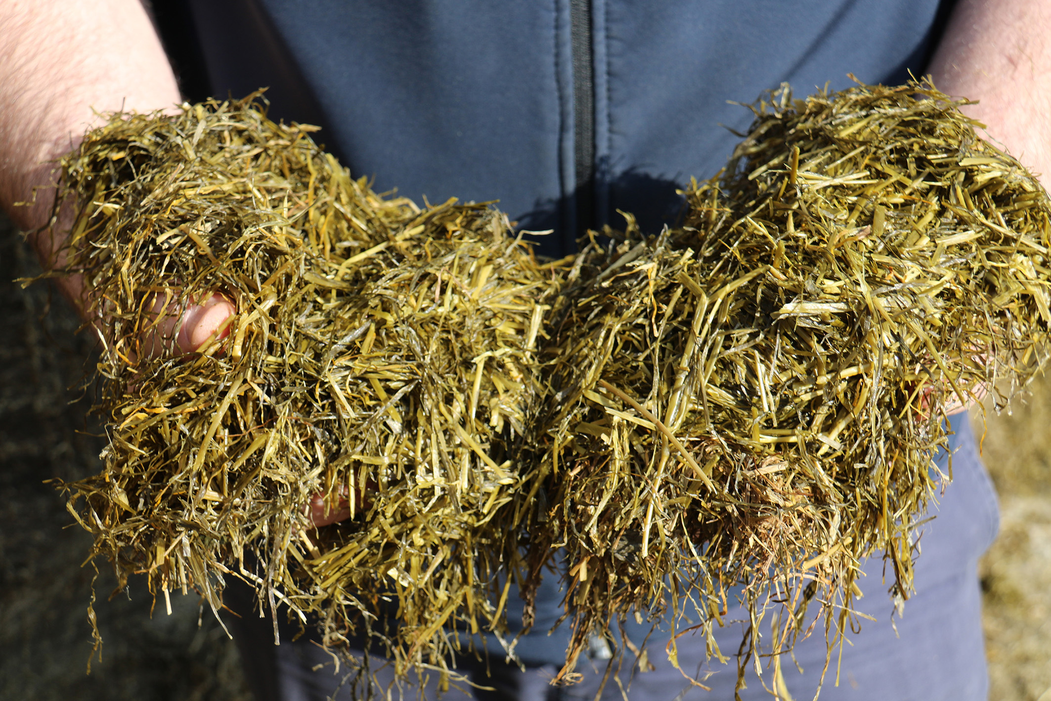 Agriland and Ecosyl to launch series on best practice silage making