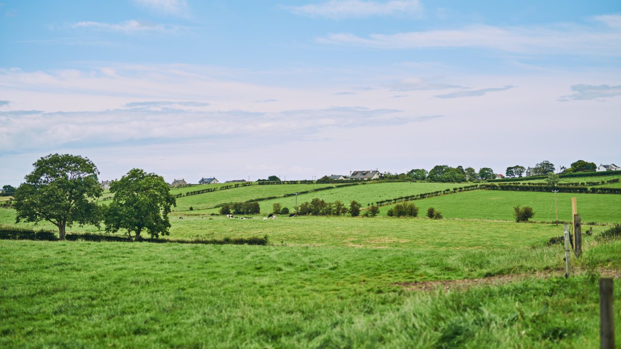 Farmland market steady as prices and rents to rise 4% in 2026 – report