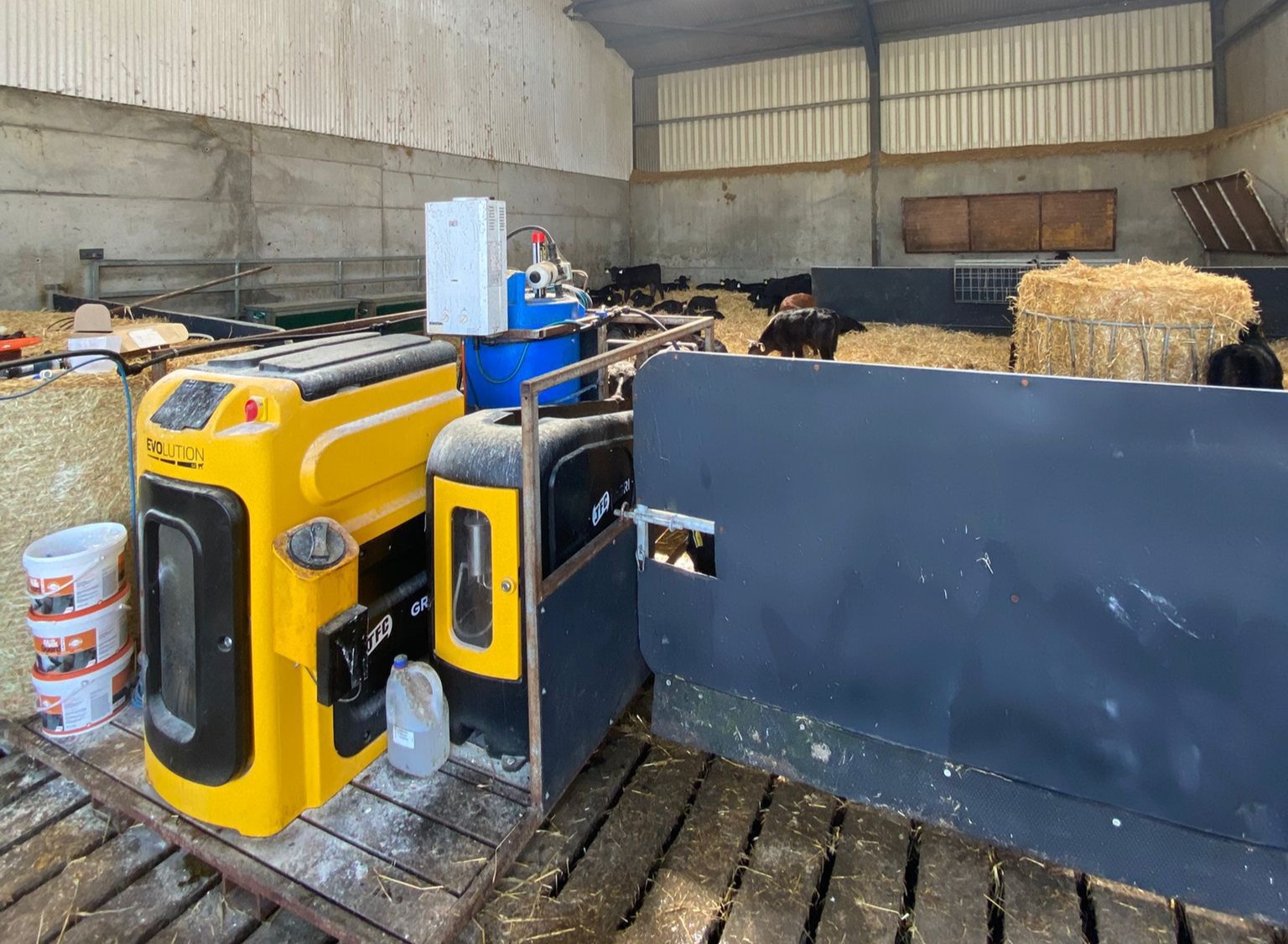 Beef farmer moves from buying yearlings to rearing calves in Tramore