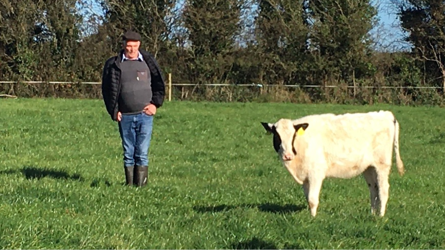 Carnew Mart cancer research fundraiser to remember Wexford farmer