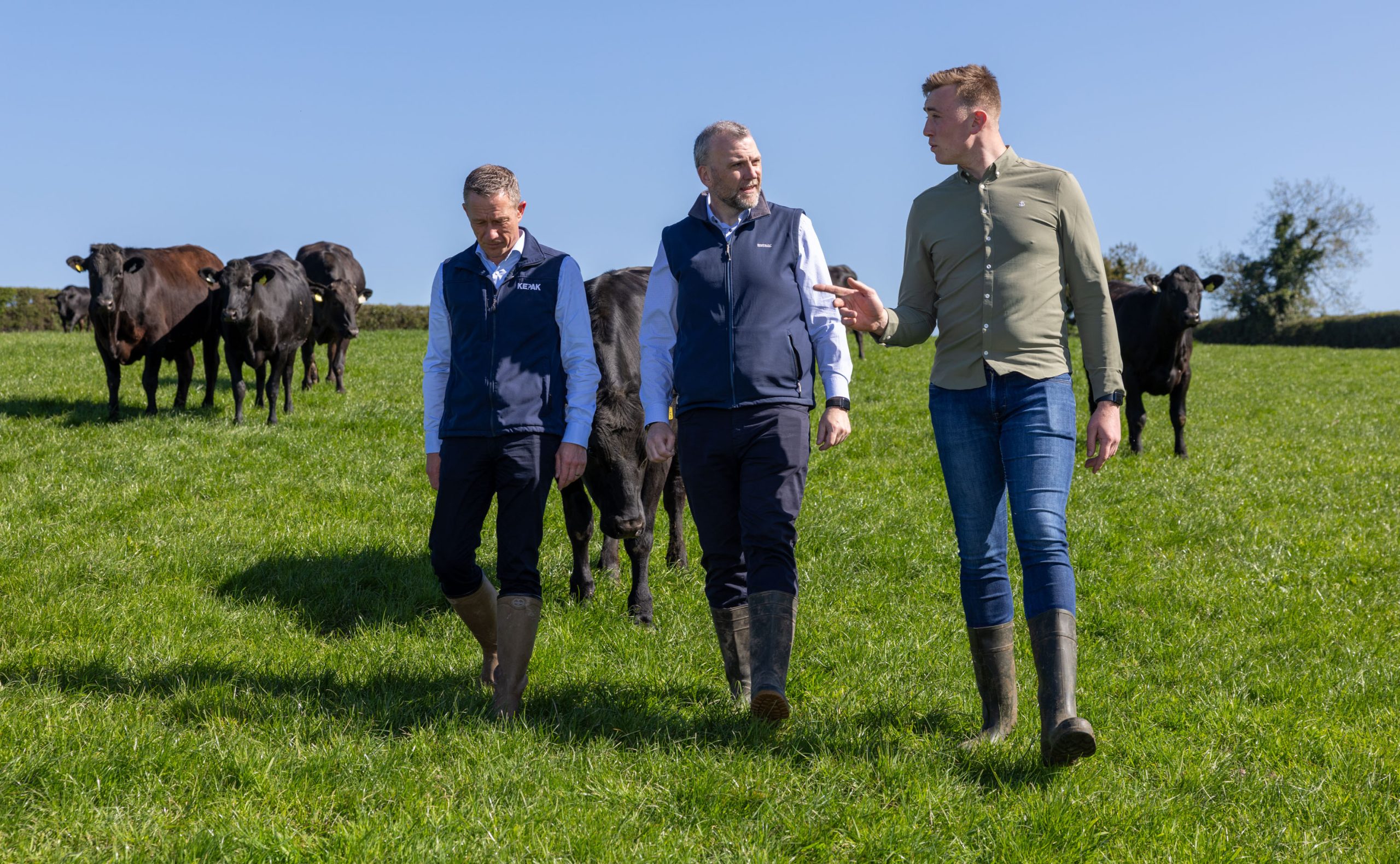 SuperValu, Kepak and Warrendale Wagyu launch new beef supply initiative