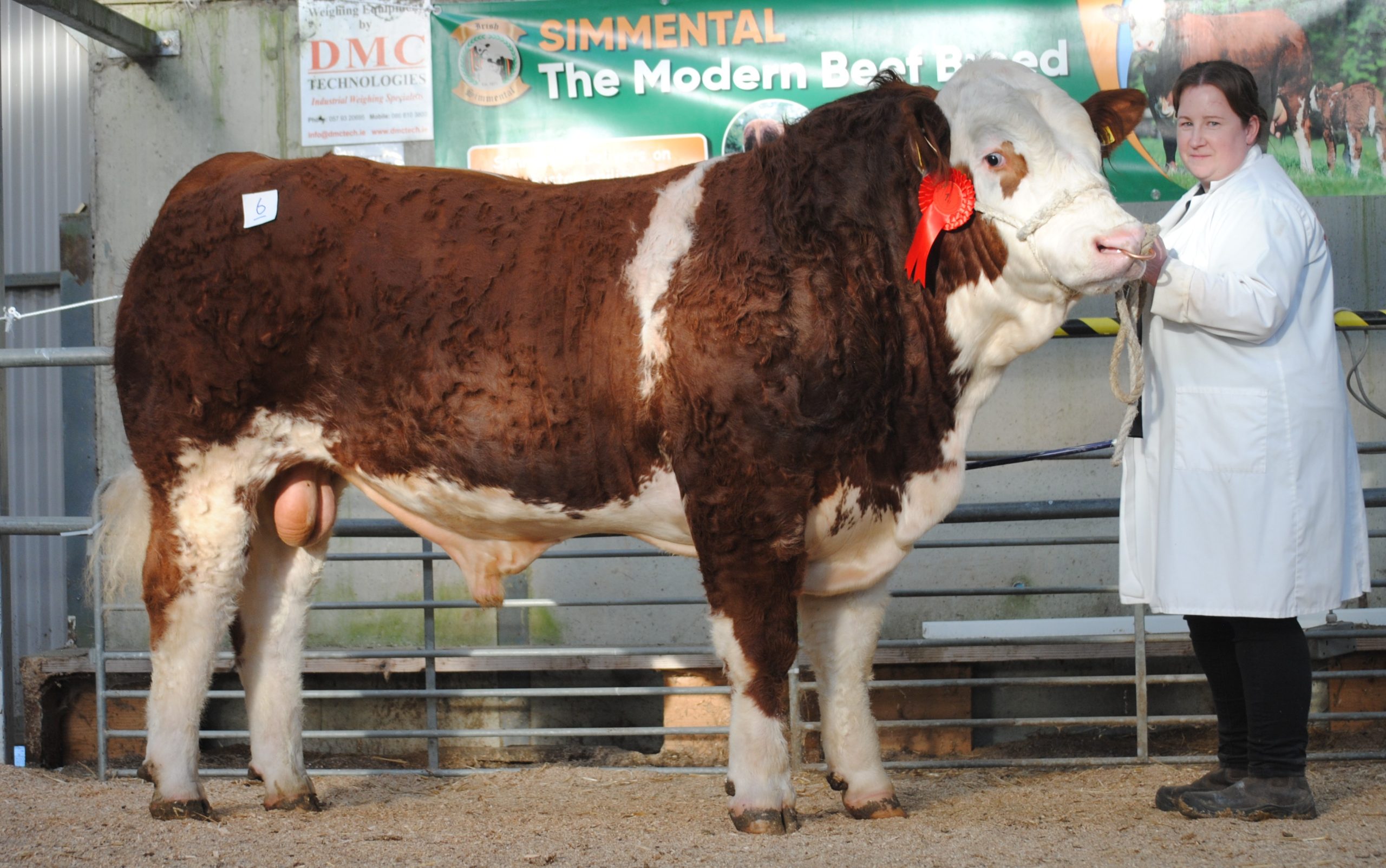Ballyhaunis-bred bull secures €10,100 at Tullamore Simmental sale