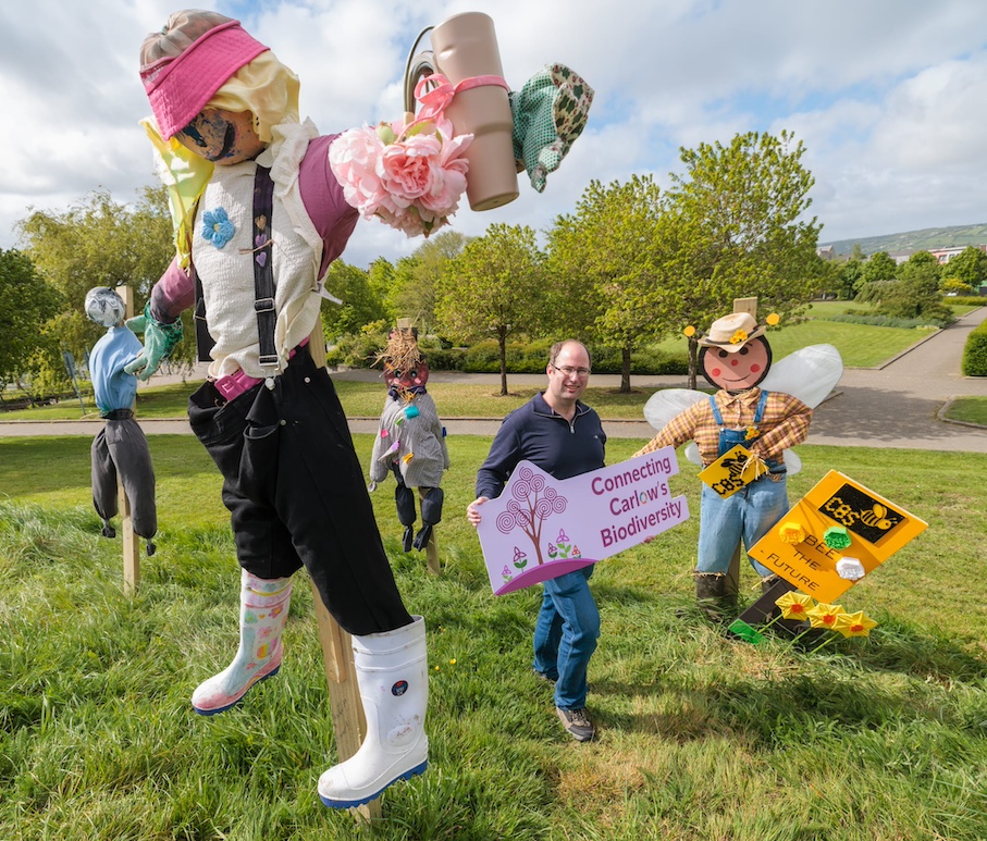Carlow’s ‘guardians of the grasslands’ go on duty