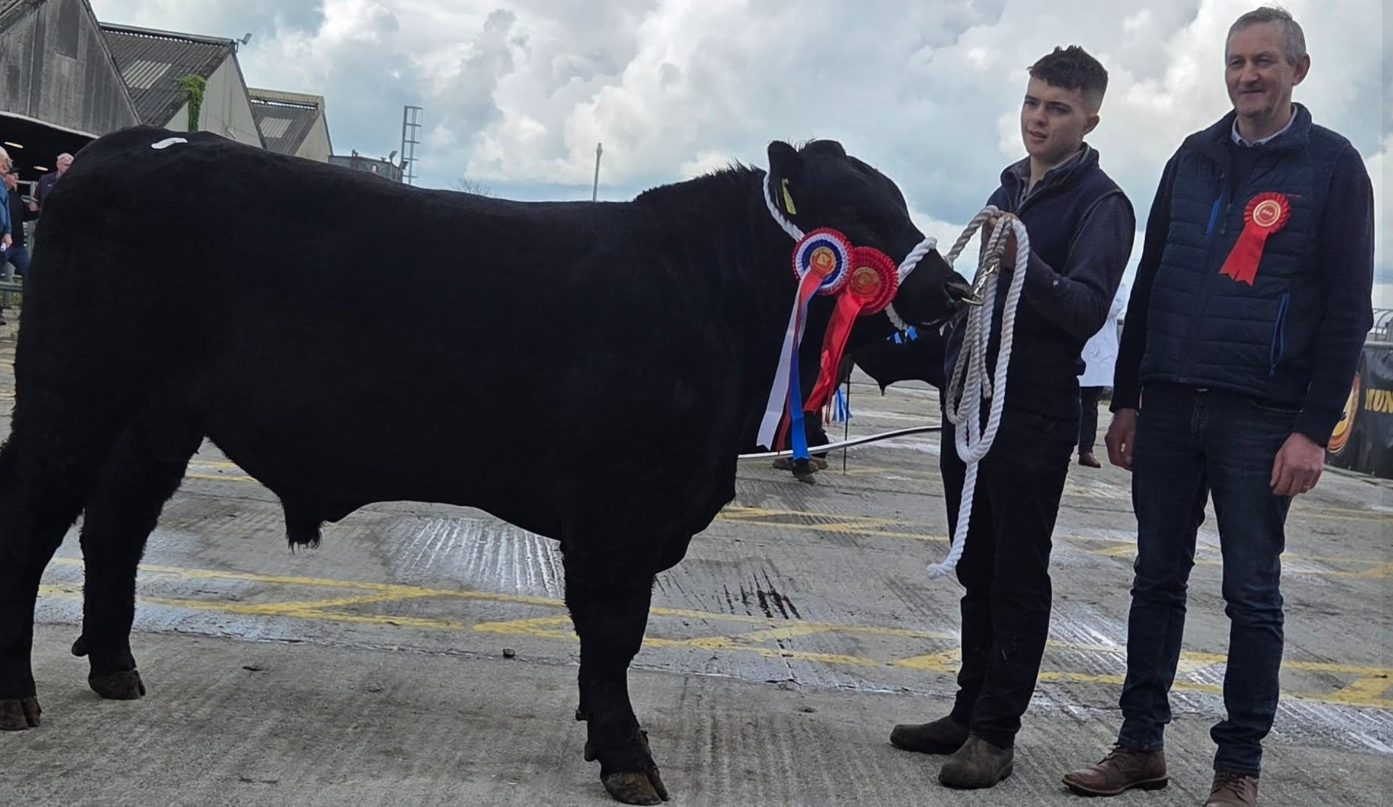 Bulls average €4,060 at final Munster Angus Breeders spring sale