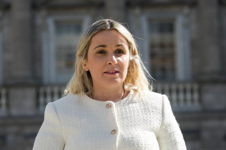 TD questions why Ireland imports 83% of fruit and veg