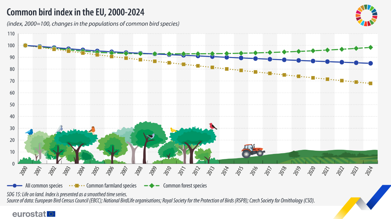 European farmland bird populations down 32% since 2000