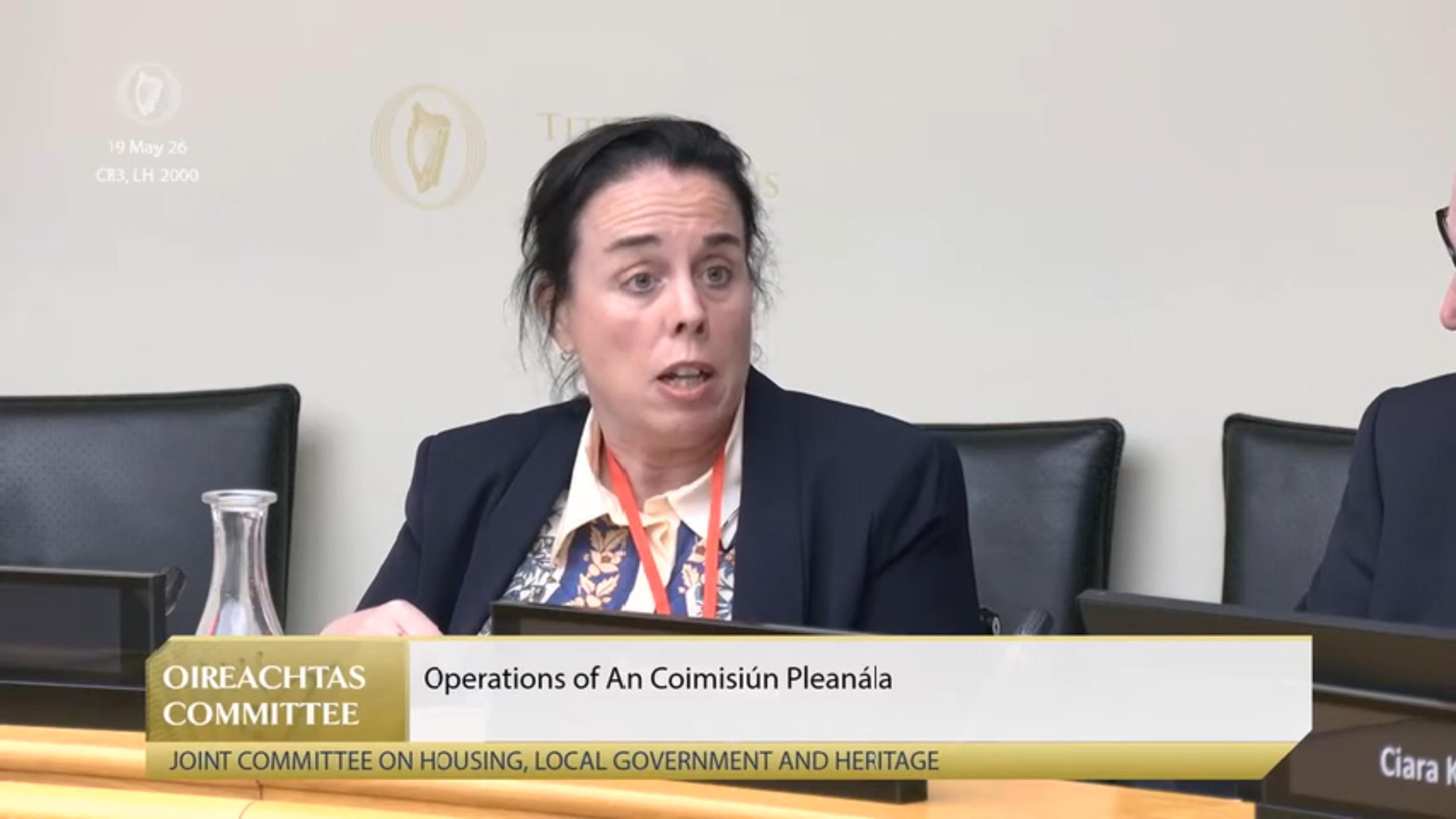 ‘Local need’ rural planning rules ‘difficult to defend’ – TD