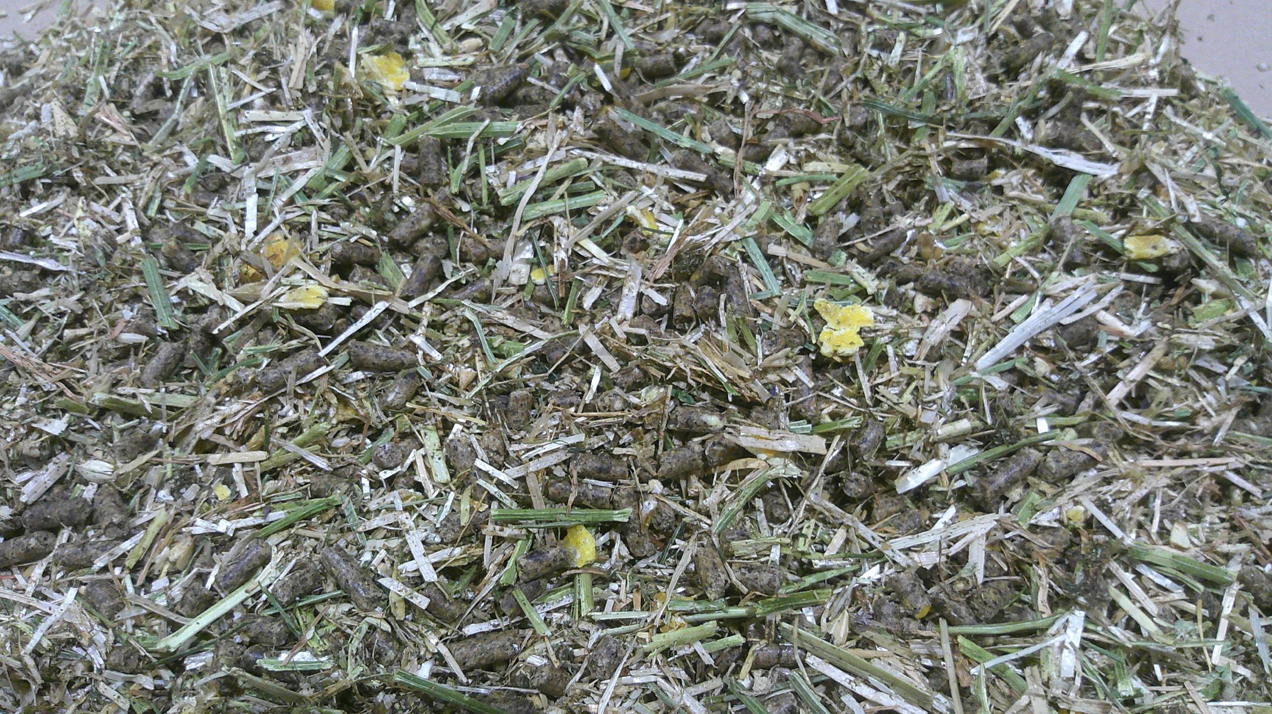 Why Excelerate TMR is the only early-nutrition solution for your calves