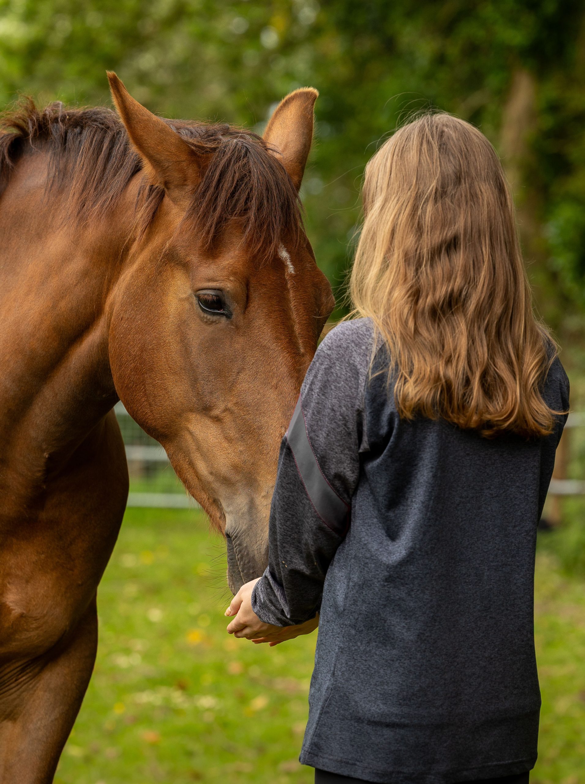 Horse-assisted mental wellbeing courses for farmers return for 2026