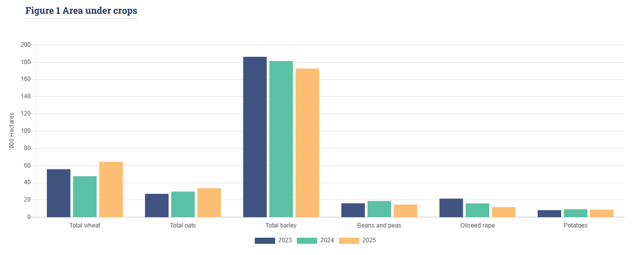 Winter cereals drive 15% surge in Ireland’s 2025 harvest