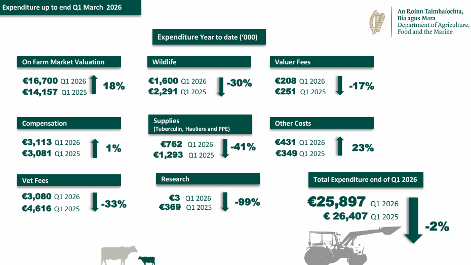 Government TB bill hit €25.8m by end of Q1 2026