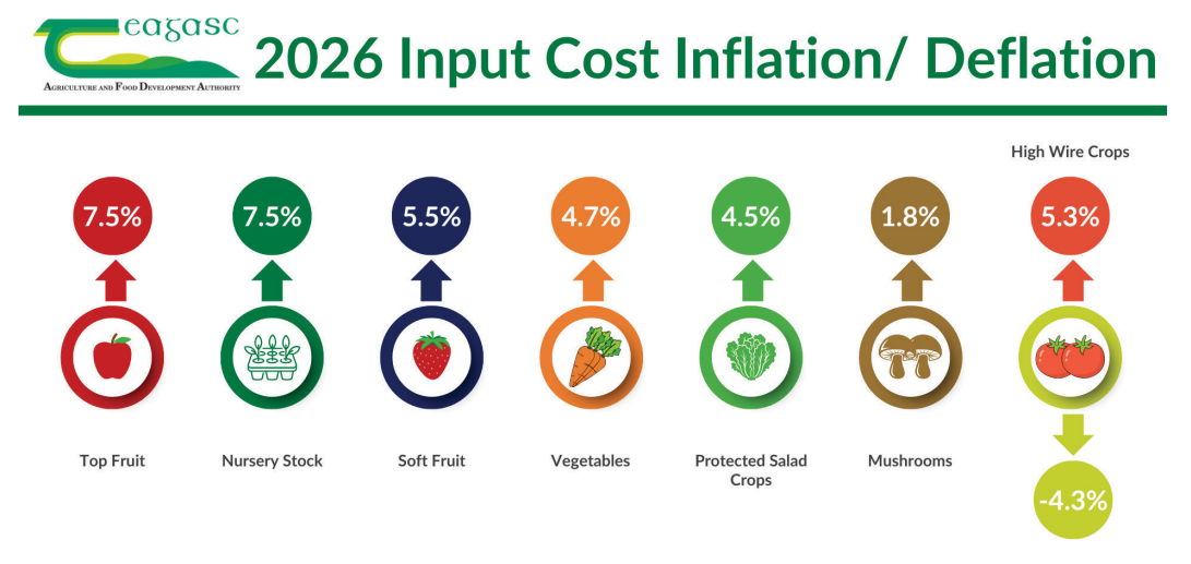 Horticulture input costs rose by over 76% since 2020 – report
