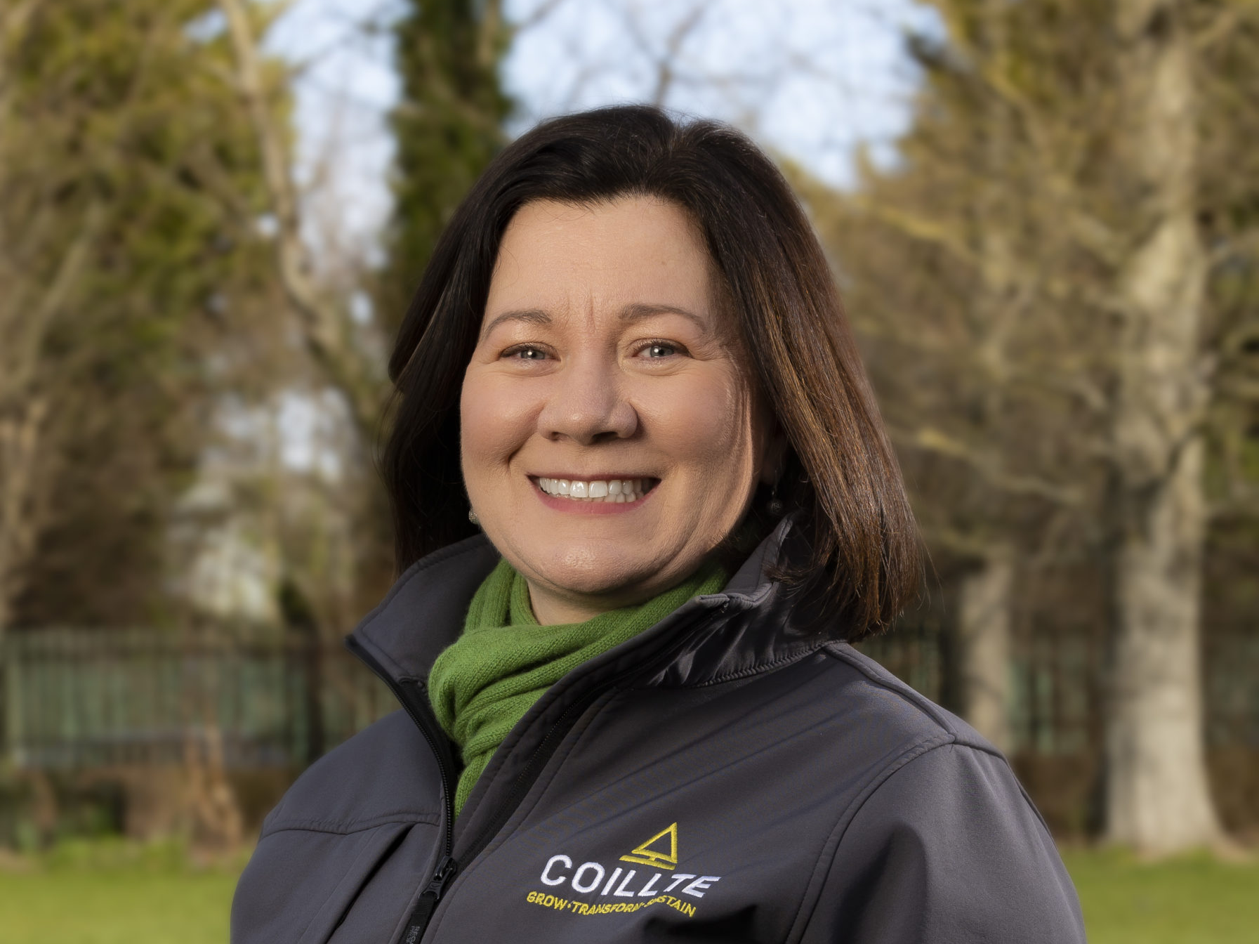 Cash cost of Storm Éowyn to Coillte likely to be ‘more than €80m’