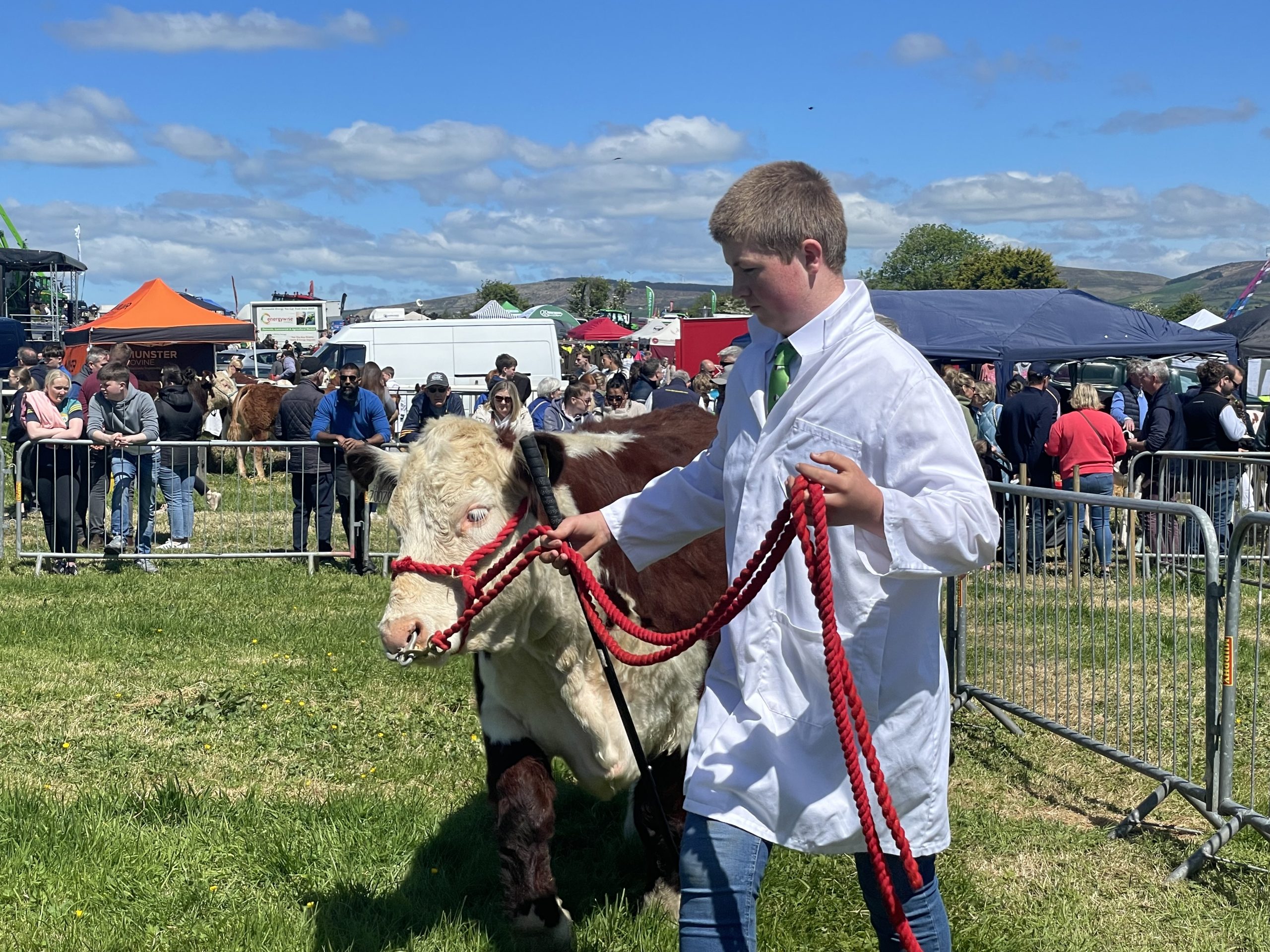 Gallery: Blue skies help boost numbers at Kingdom County Show