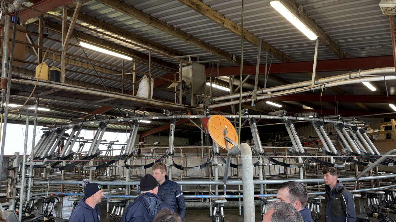 Dairying the New Zealand way –  in Co. Laois