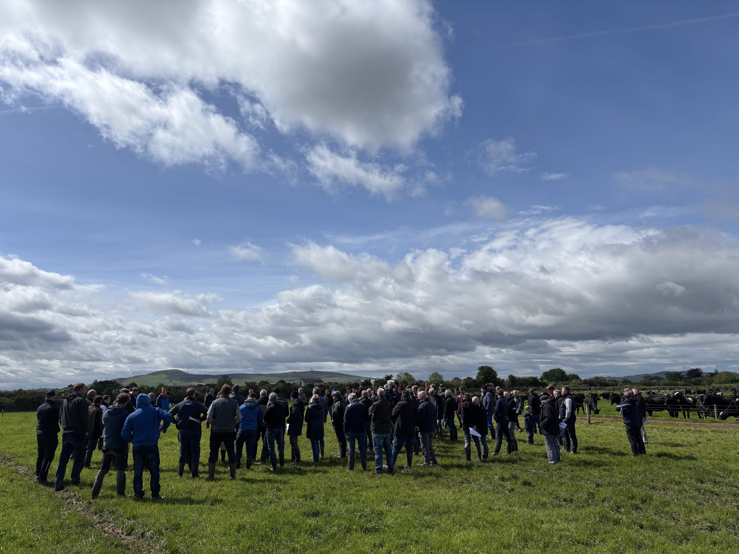 Spring reseeding on a shared farm in Co. Limerick