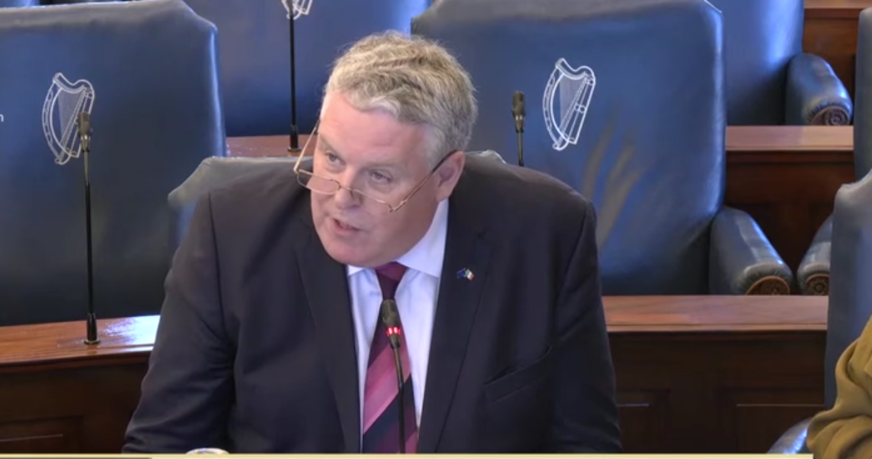 Watch: Sparks fly in Seanad over Brazil beef school meal claim