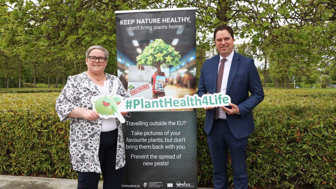 Irish public warned of plant health risks as campaign launches
