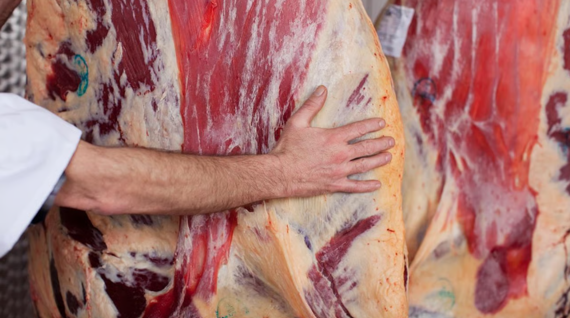 ABP announces acquisition of German beef processing facility
