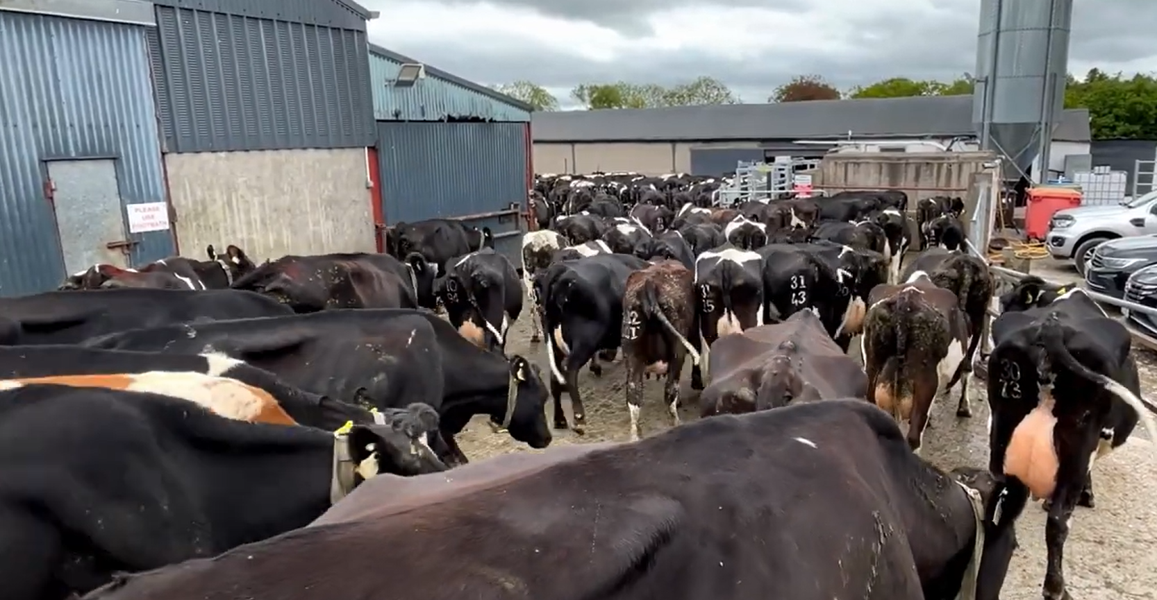‘It’s small money to stay on top of quality’ – tackling SCC in Tipperary