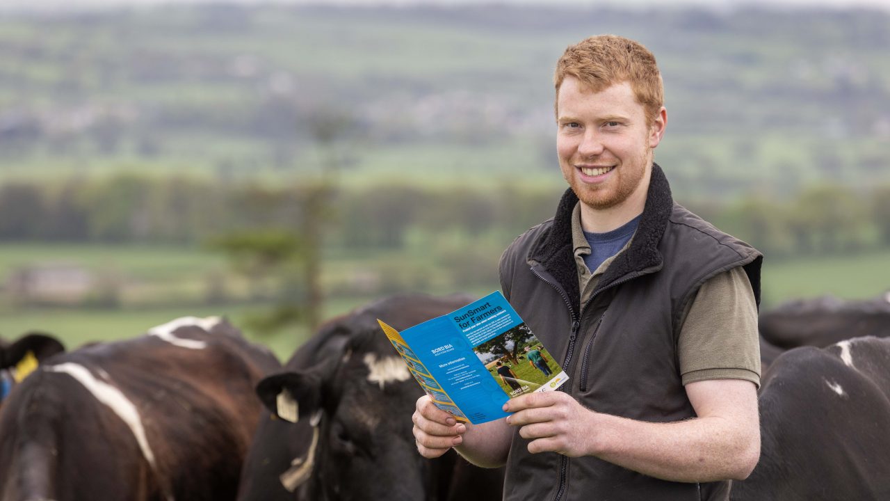 Bord Bia to work with HSE on farmer sun safety campaign