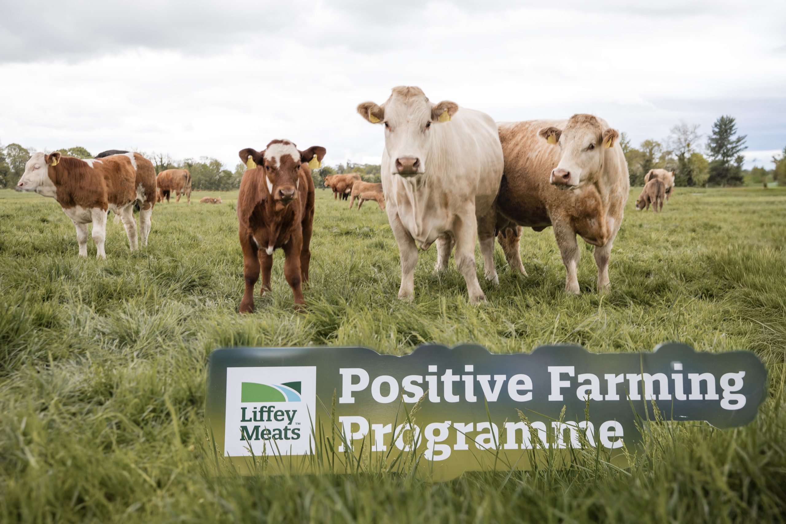 Liffey Meats launches sustainability scheme for beef farmer suppliers
