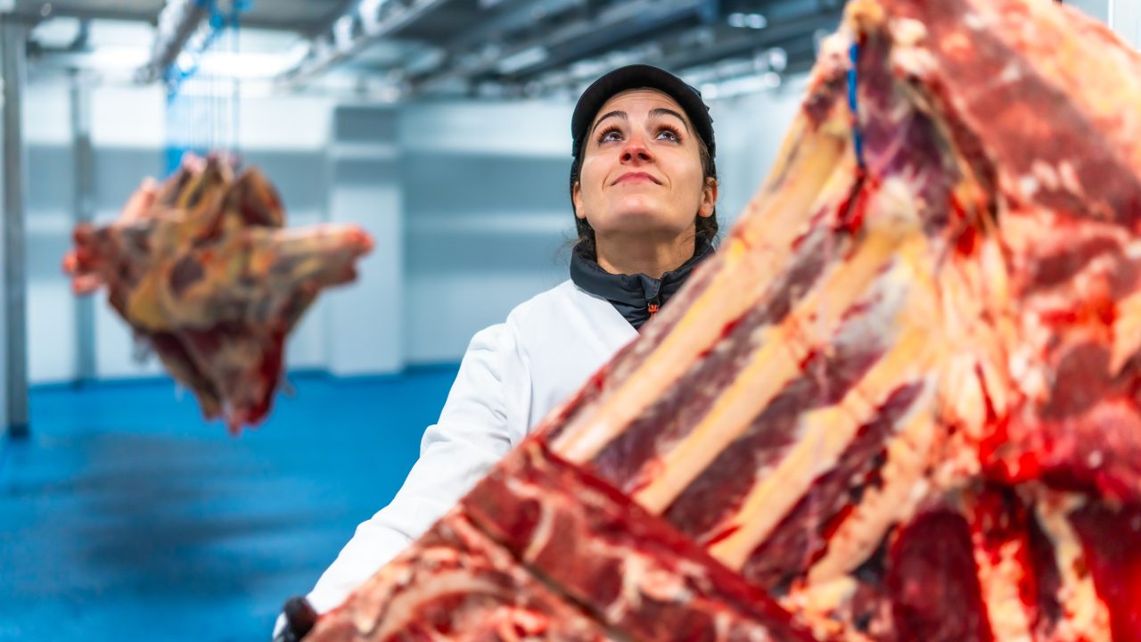 'Not in anyone's interest to see beef price go down' warns sector director